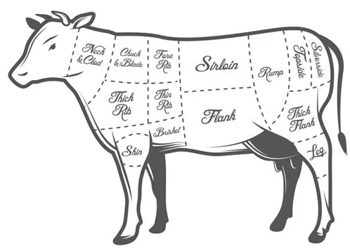 Diagram of beef cuts
